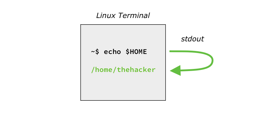stdout using the echo program